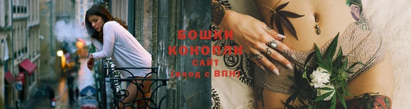 прущие крисы Козловка