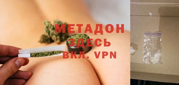 шишки Корсаков